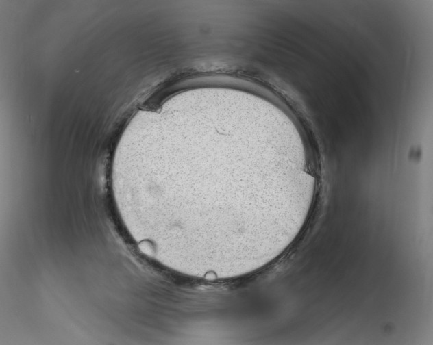 X0000115630065200912221258