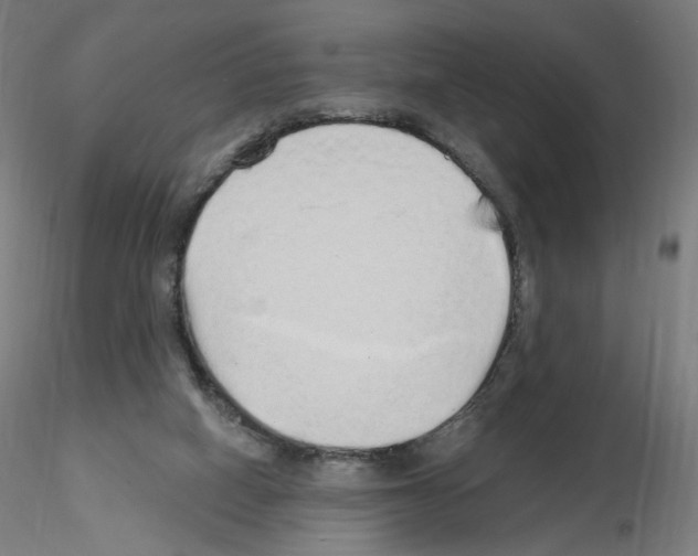 X0000115630066200912221258