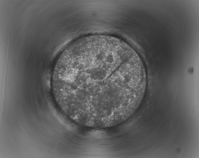 X0000115630067200912221258