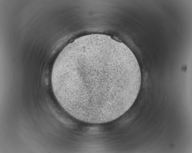 X0000115630068200912221258