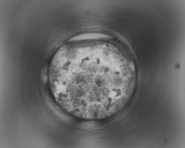 X0000115630069200912221258