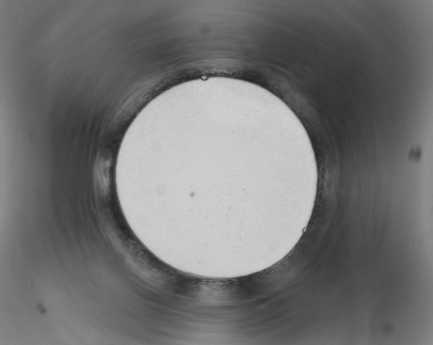 X0000115630070200912221258