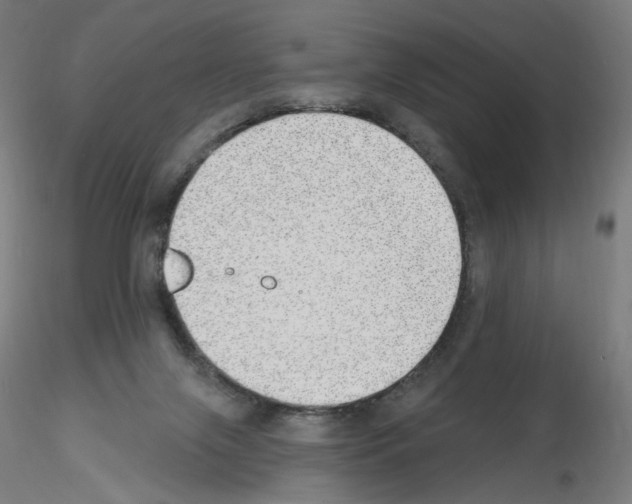 X0000115630071200912221258