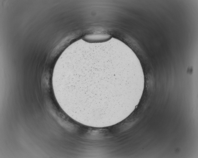 X0000115630072200912221258