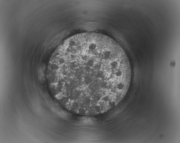 X0000115630073200912221258