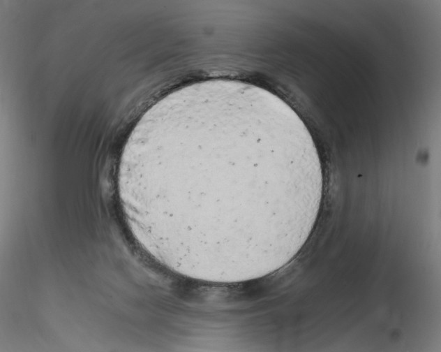 X0000115630074200912221258