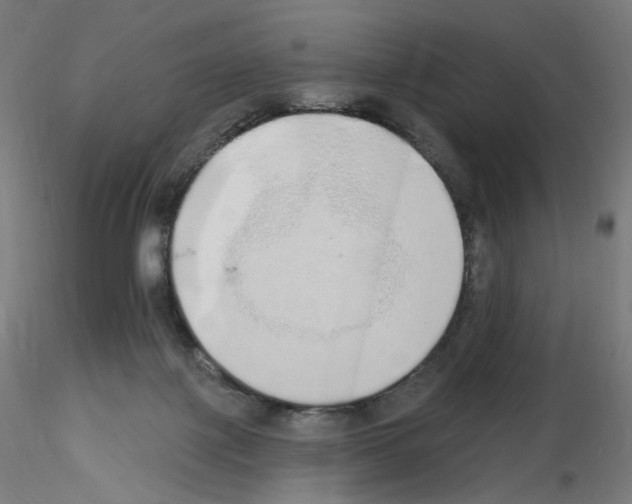 X0000115630075200912221258