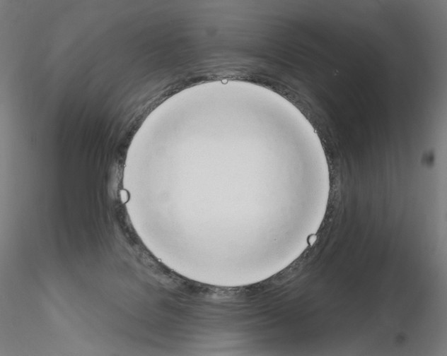 X0000115630076200912221258