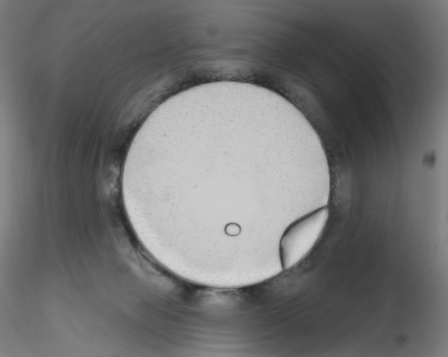X0000115630077200912221258