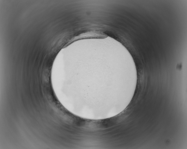 X0000115630078200912221258
