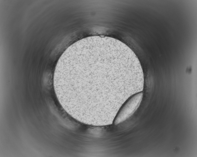 X0000115630079200912221258