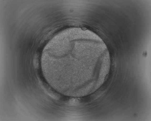 X0000115630080200912221258