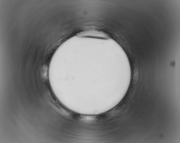 X0000115630081200912221258
