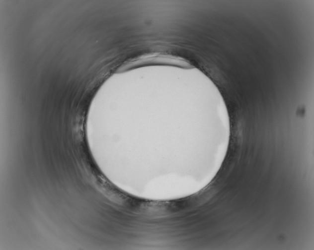 X0000115630082200912221258