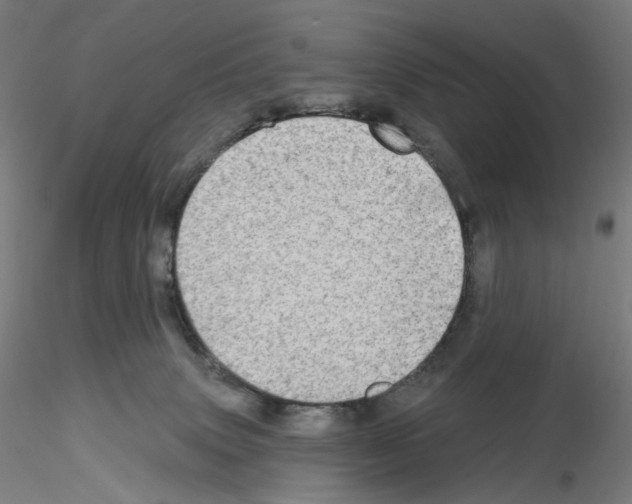X0000115630083200912221258