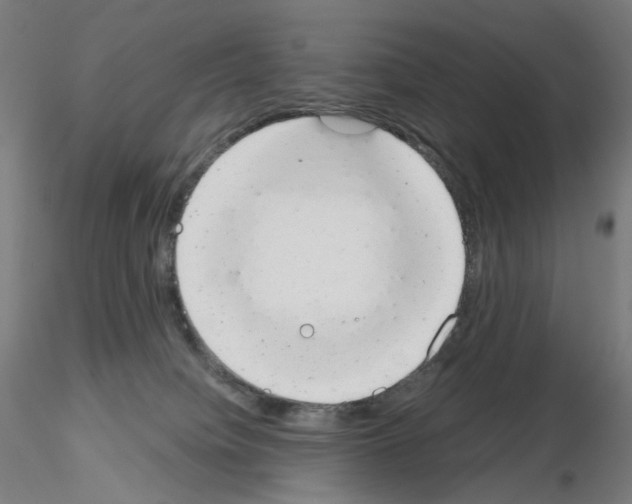 X0000115630084200912221258