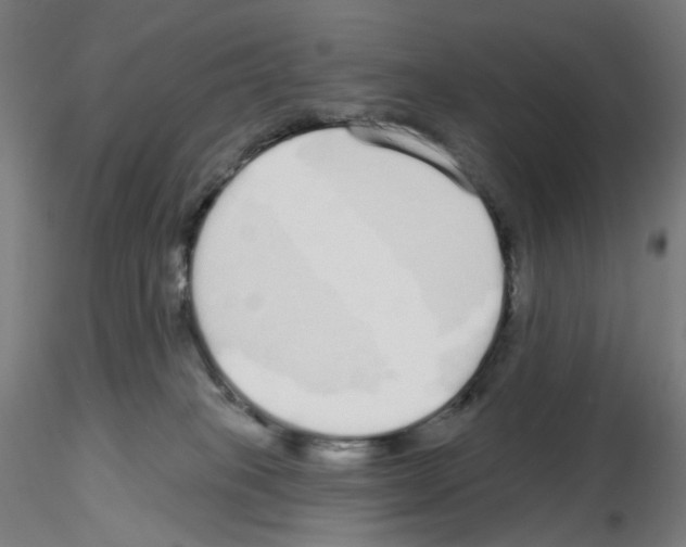 X0000115630085200912221258