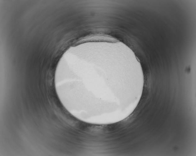 X0000115630086200912221258