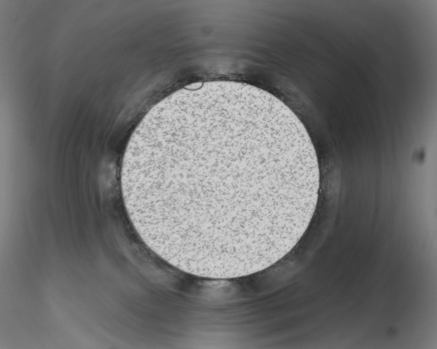 X0000115630087200912221258