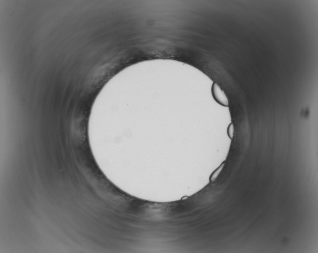X0000115630088200912221258