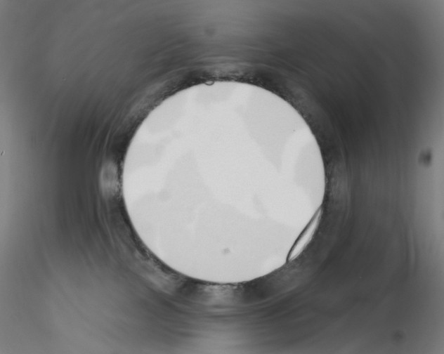 X0000115630089200912221258