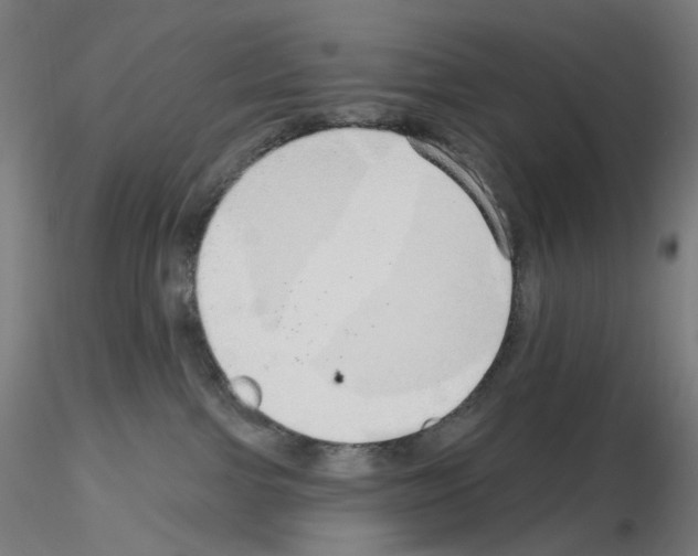X0000115630091200912221258