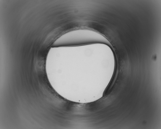 X0000115630092200912221258