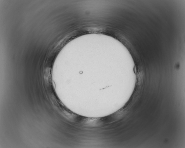 X0000115630093200912221258
