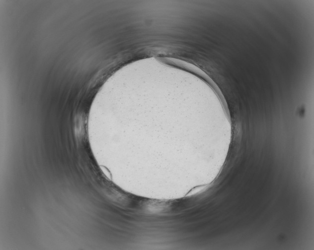 X0000115630094200912221258