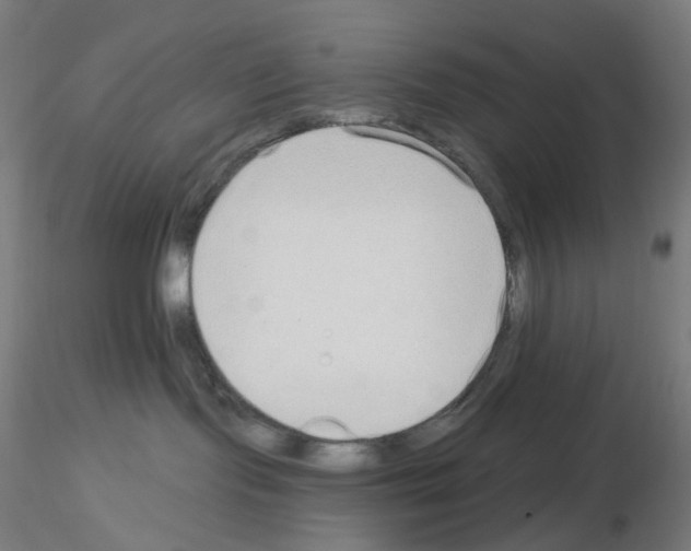 X0000115630095200912221258