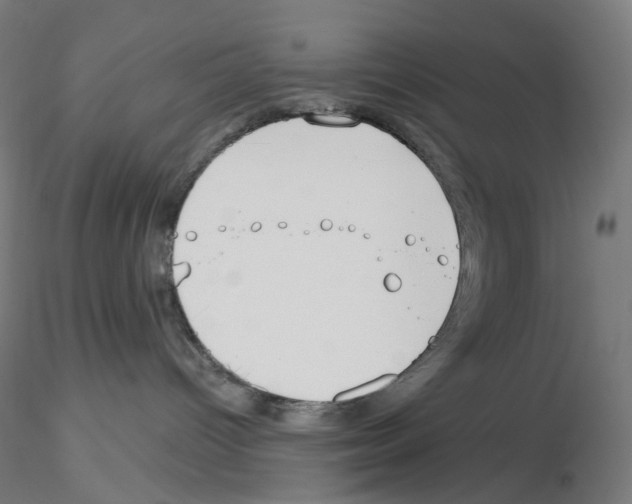 X0000115630096200912221258