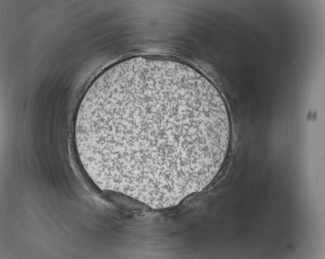 X0000115630097200912221257