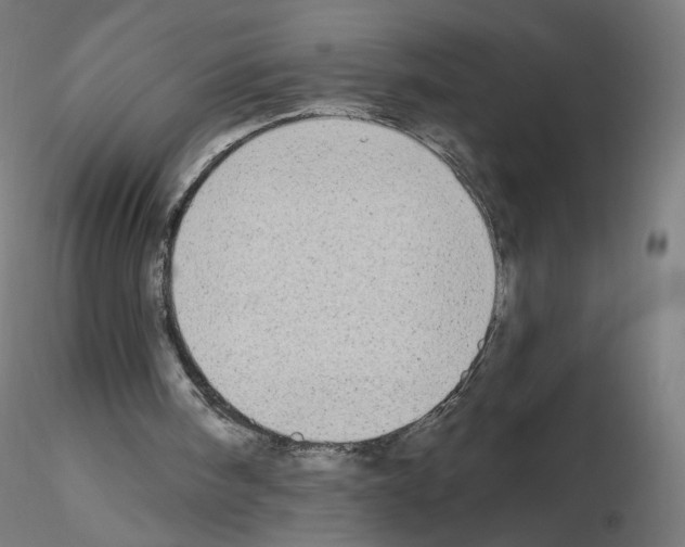 X0000115630098200912221257