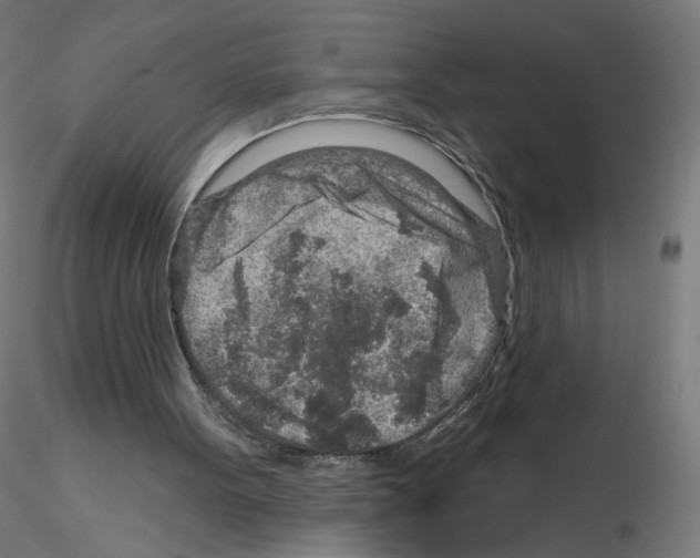 X0000115630099200912221257