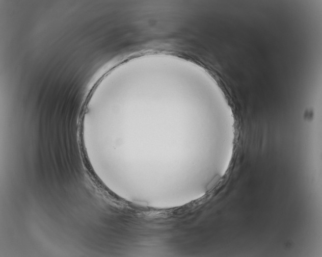 X0000115630100200912221257