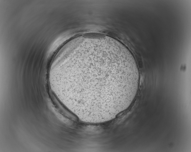 X0000115630101200912221257