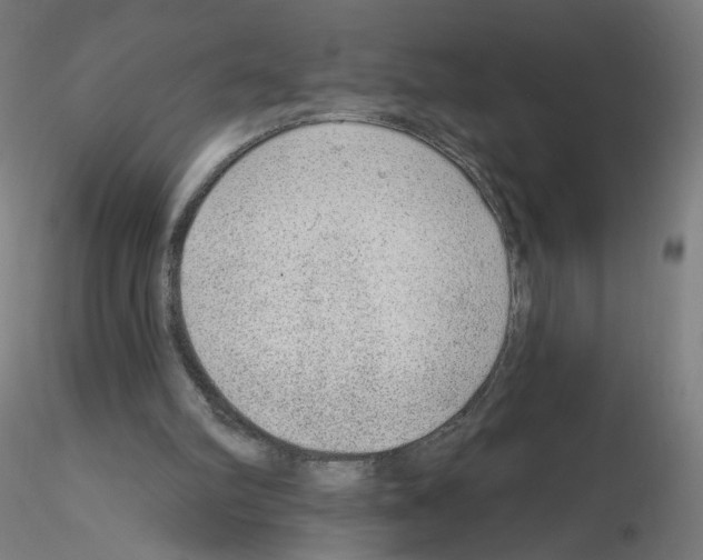 X0000115630102200912221257