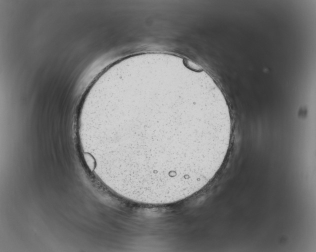 X0000115630103200912221257