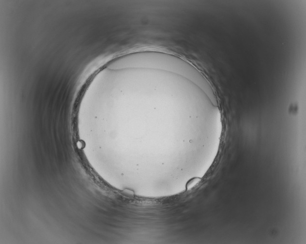 X0000115630104200912221257