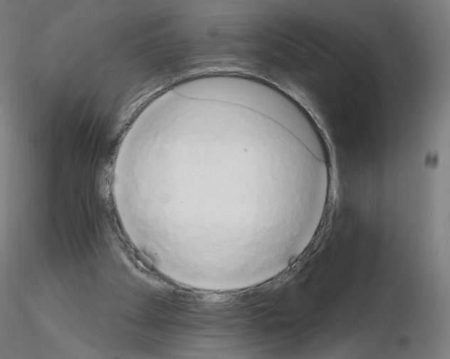 X0000115630105200912221257