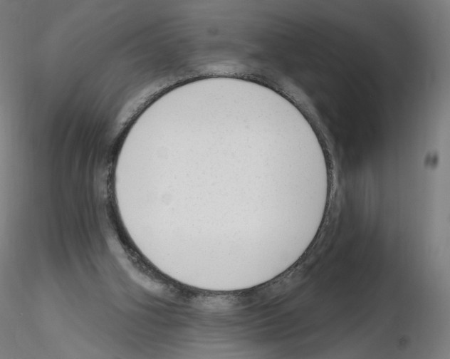X0000115630106200912221257