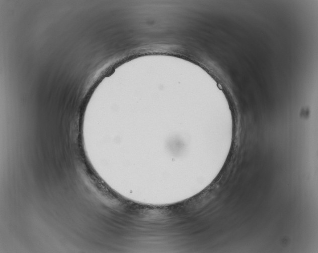 X0000115630107200912221257