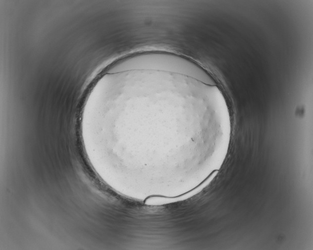 X0000115630108200912221257
