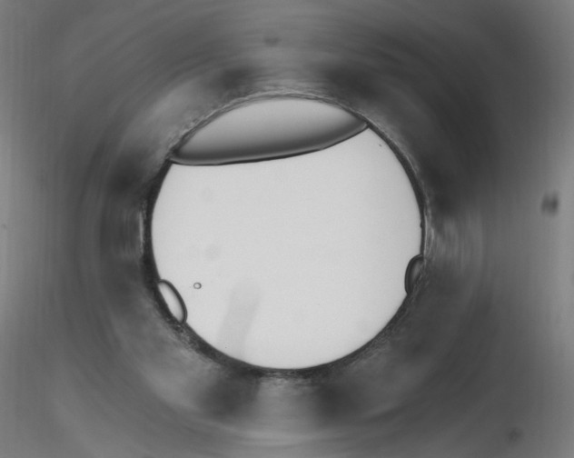 X0000115630109200912221257