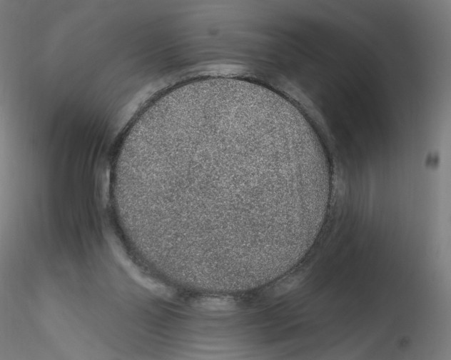 X0000115630110200912221257