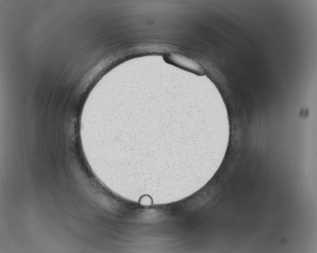 X0000115630111200912221257
