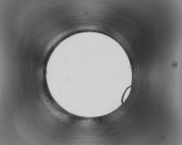 X0000115630112200912221257