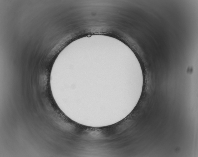 X0000115630113200912221257