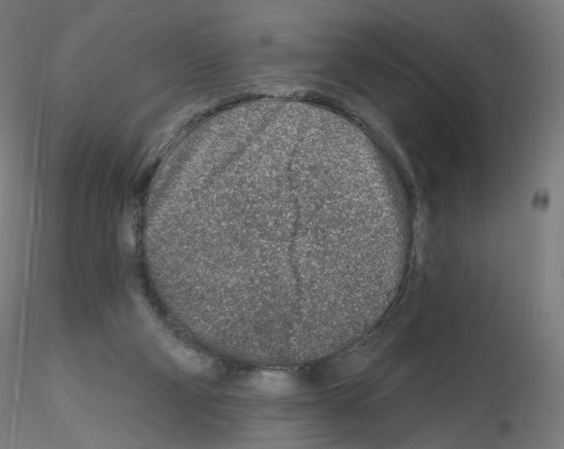 X0000115630114200912221257