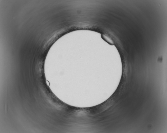 X0000115630115200912221257